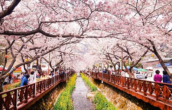 Tour Hàn Quốc - Phúc Gia Travel - Công Ty Cổ Phần Du Lịch Phúc Gia